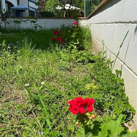 Appartement Bella Garden House - Private Garden In Florence