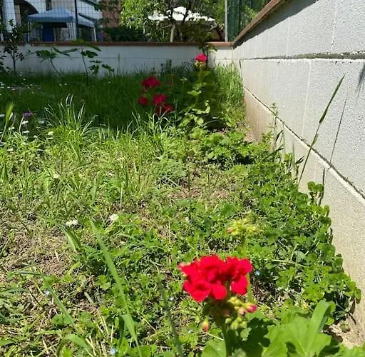 Appartamento Bella Garden House - Private Garden In Firenze